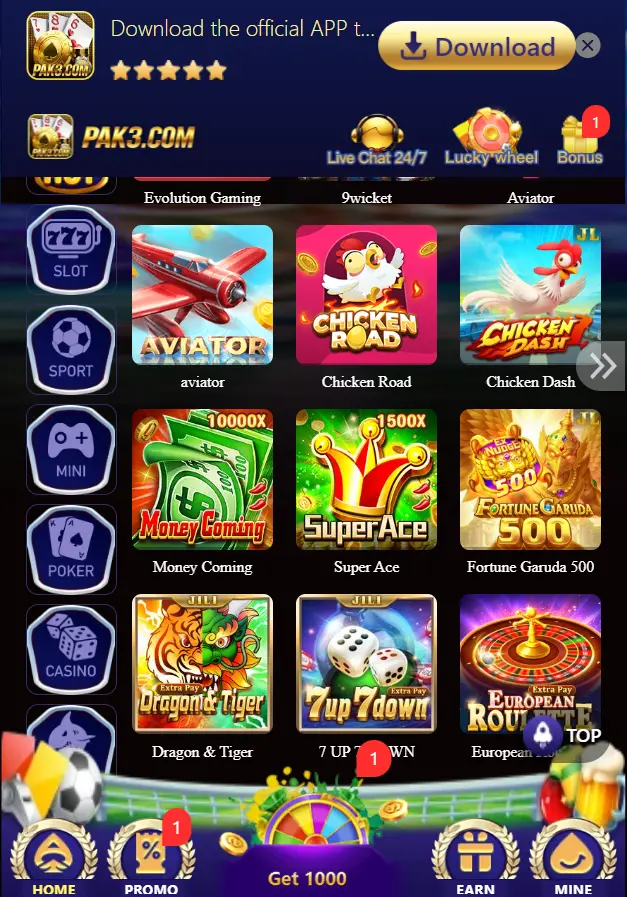 pak3 game image